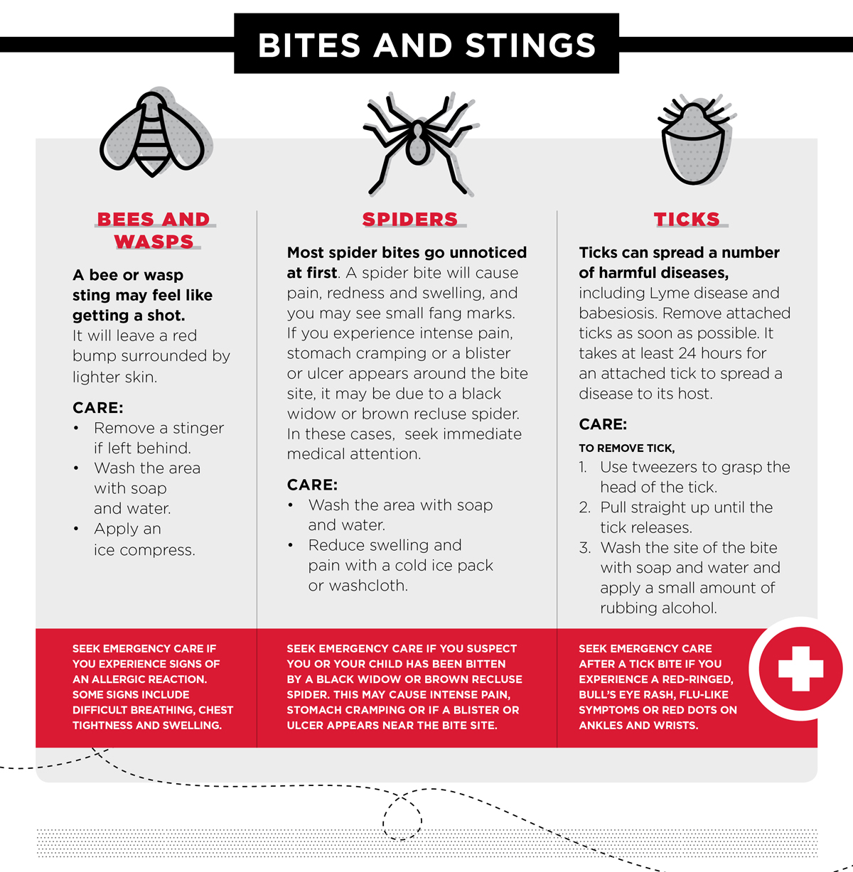 Your Guide To Common Bites And Rashes - UMMS Health