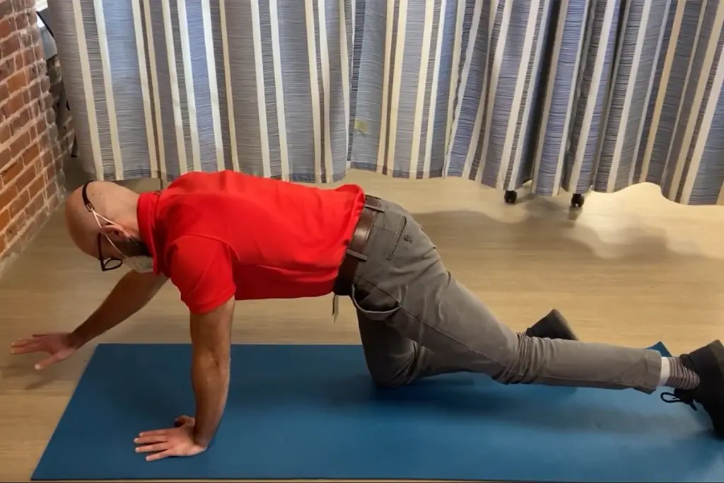 Bird-Dog Low Back Exercise