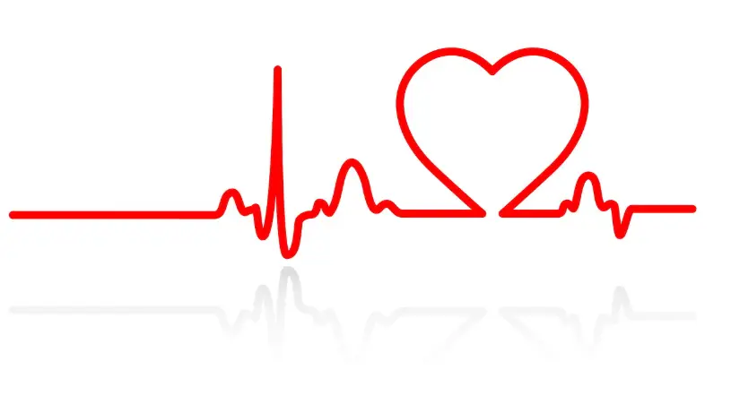 Heart Arrhythmias vs. Palpitations vs. A-Fib: What They Mean For You