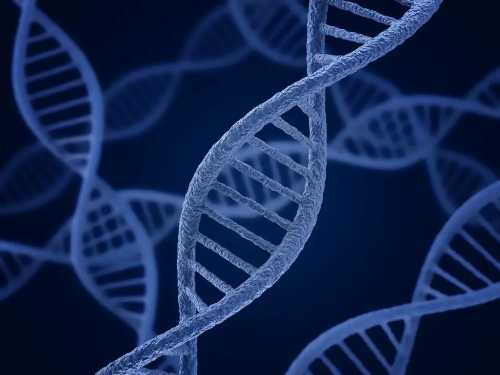 Blue illustrations of DNA