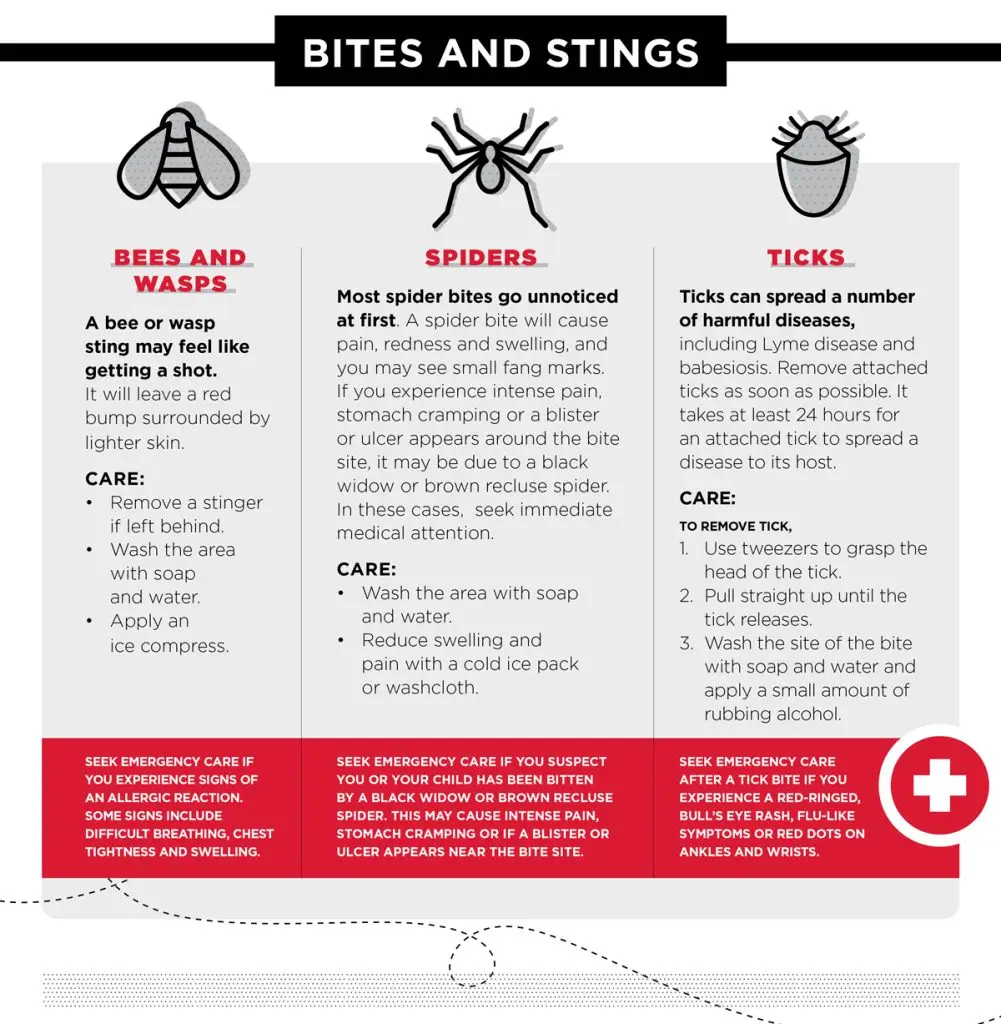 Infographic breaks down the most common bites and stings from bees, wasps,  spiders and ticks. It also shares how to treat these bites and stings at home and when to seek emergency care.