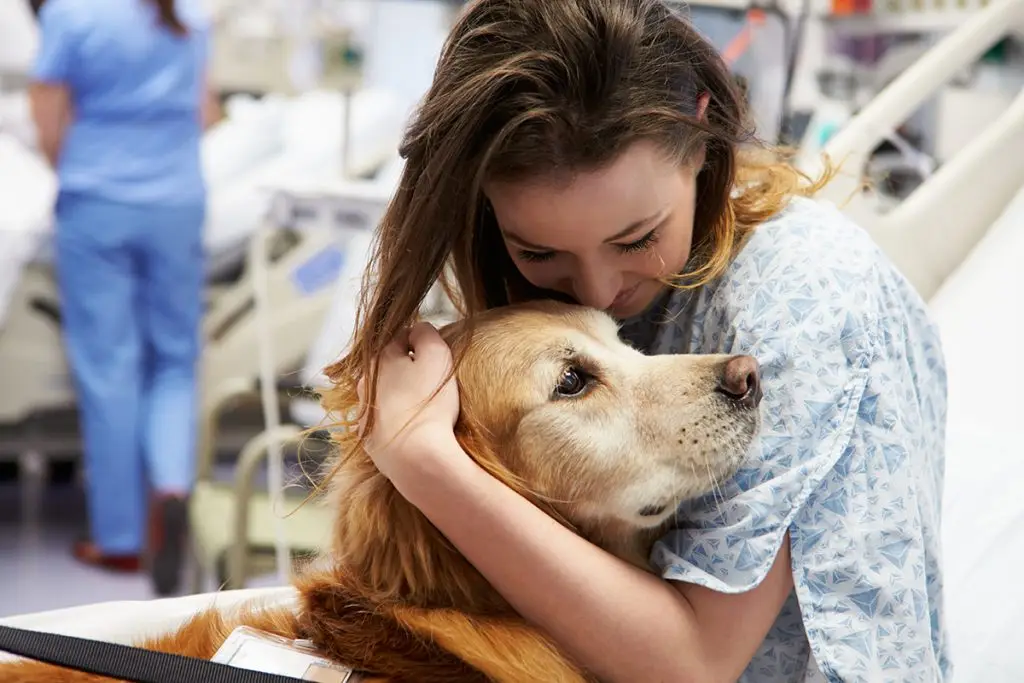 Girl hugging dog in hospital bed