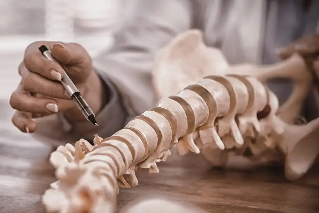 Doctor pointing to spine model