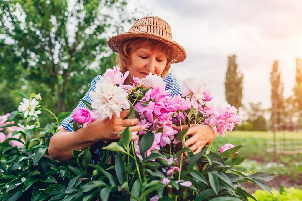 Is It A Cold, Sinus Infection or Allergies?
