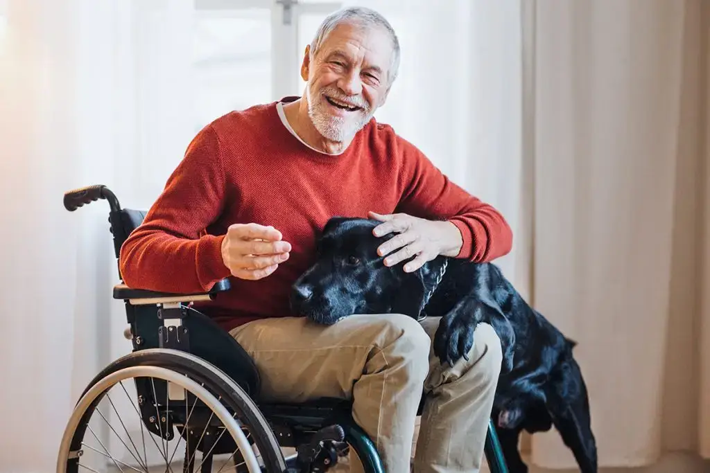 Man sitting in wheelchair and holding his dog