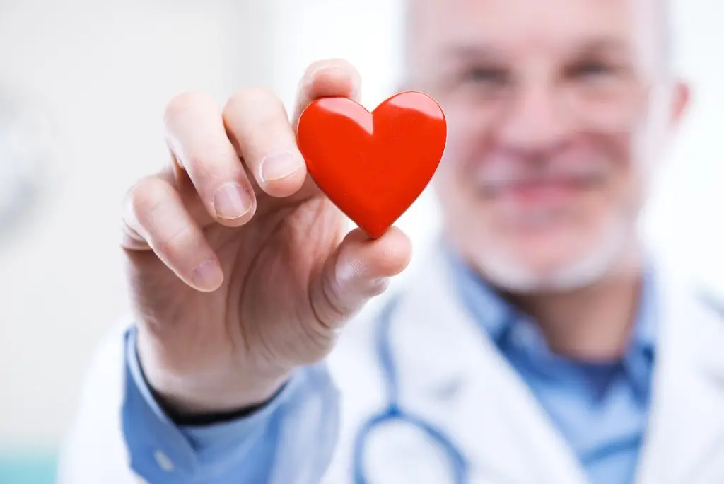 Doctor holding a plastic red heart