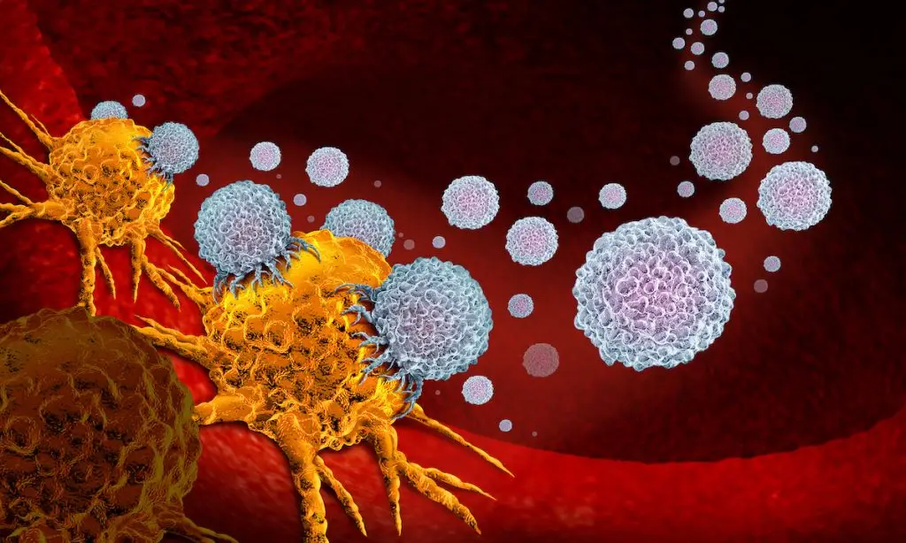 Illustration of immunotherapy treatment