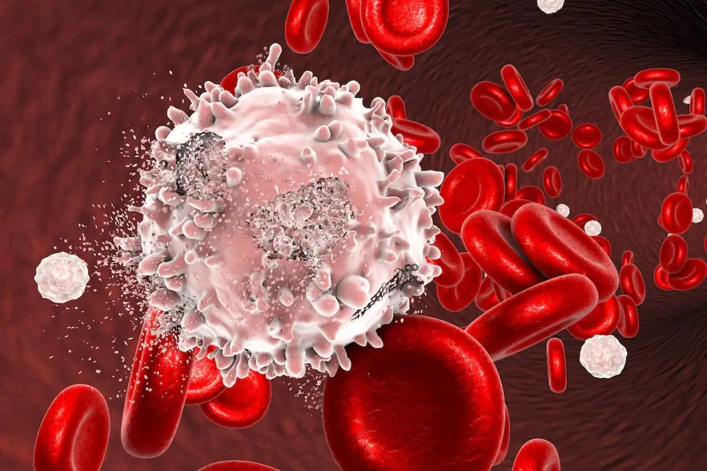 Stem Cell Solutions for Blood Cancer
