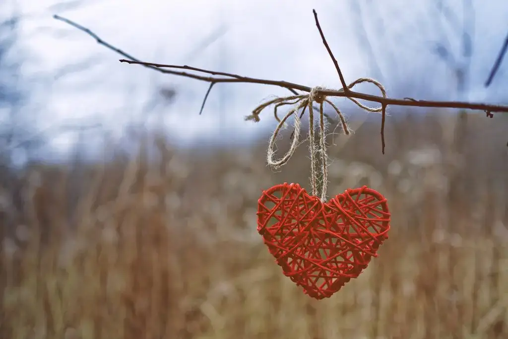 Heart ornament hanging from tree
