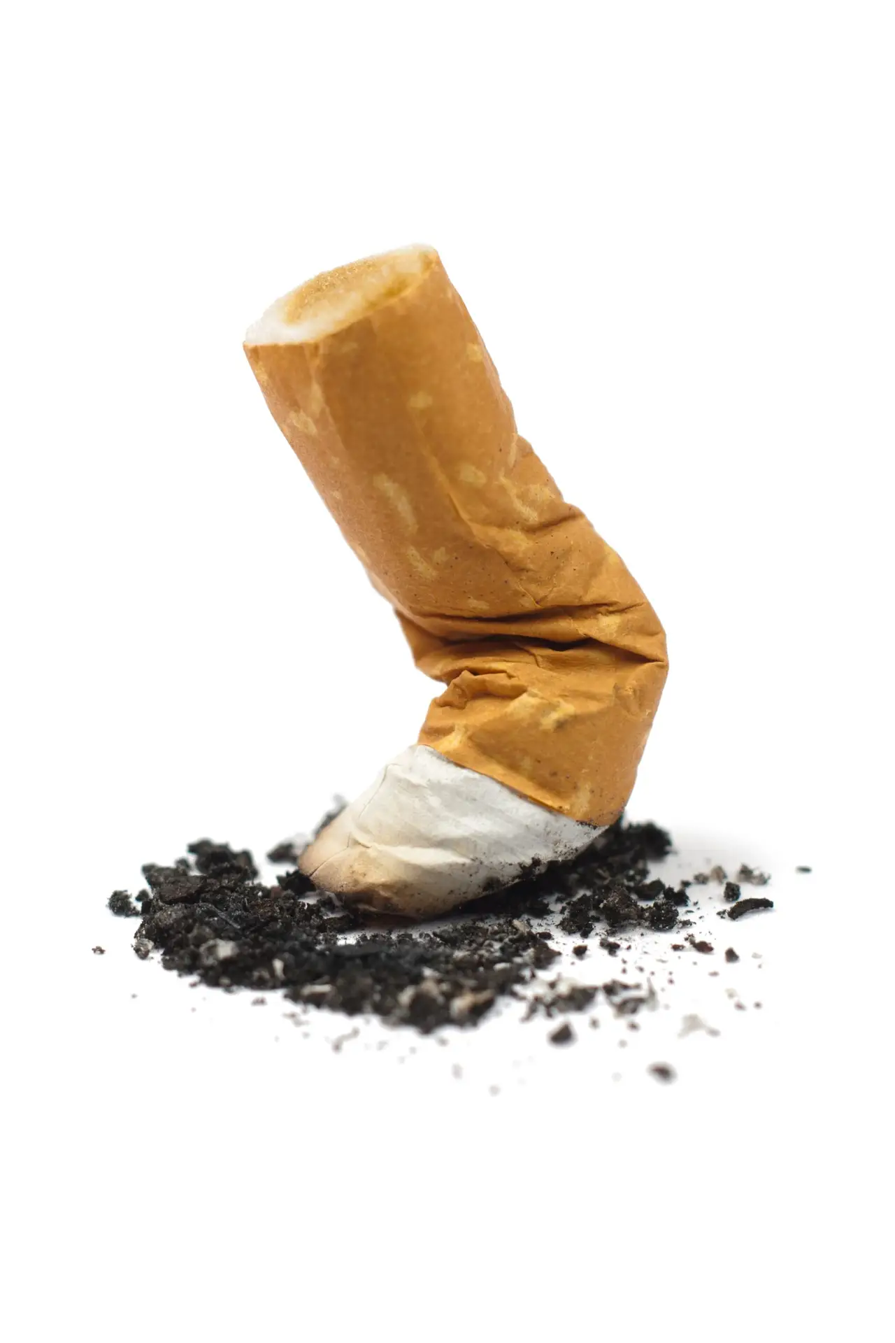Smashed cigarette butt