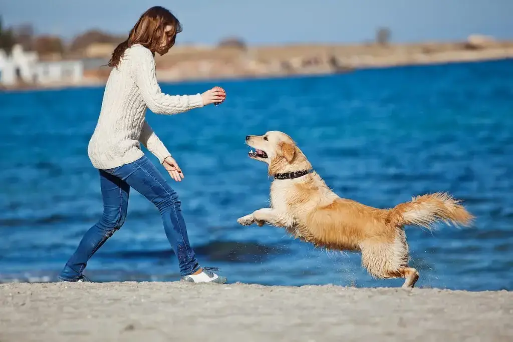 Woman playing with her dog on the beach