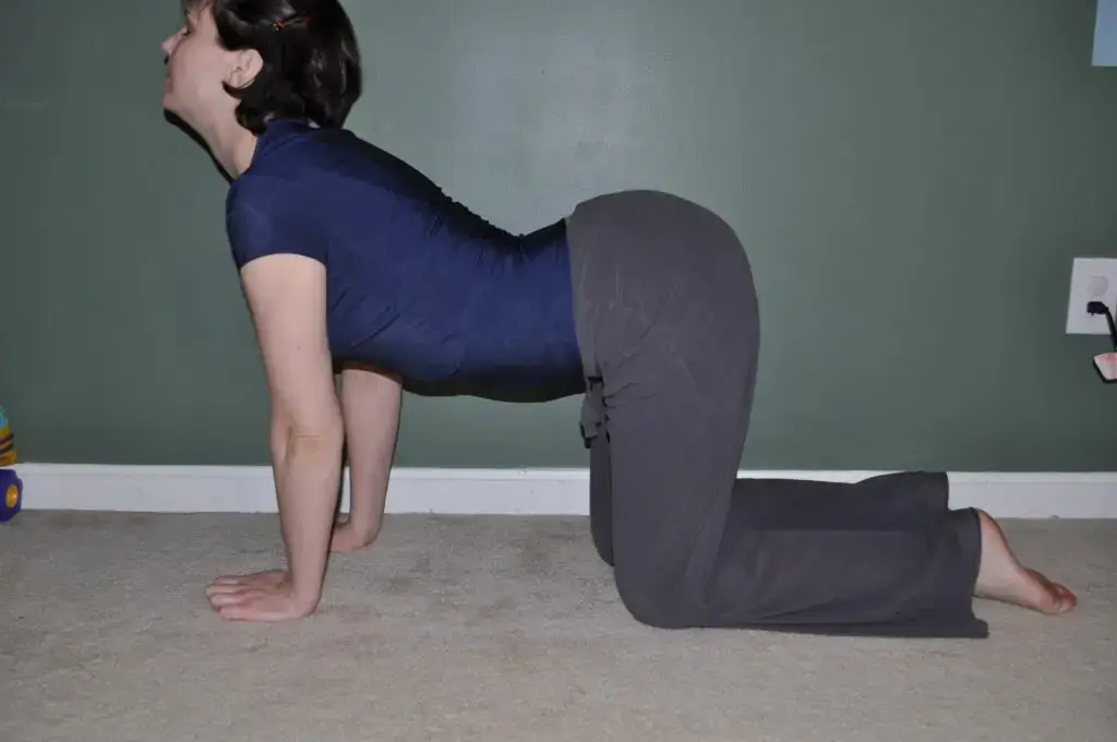 Cow stretch