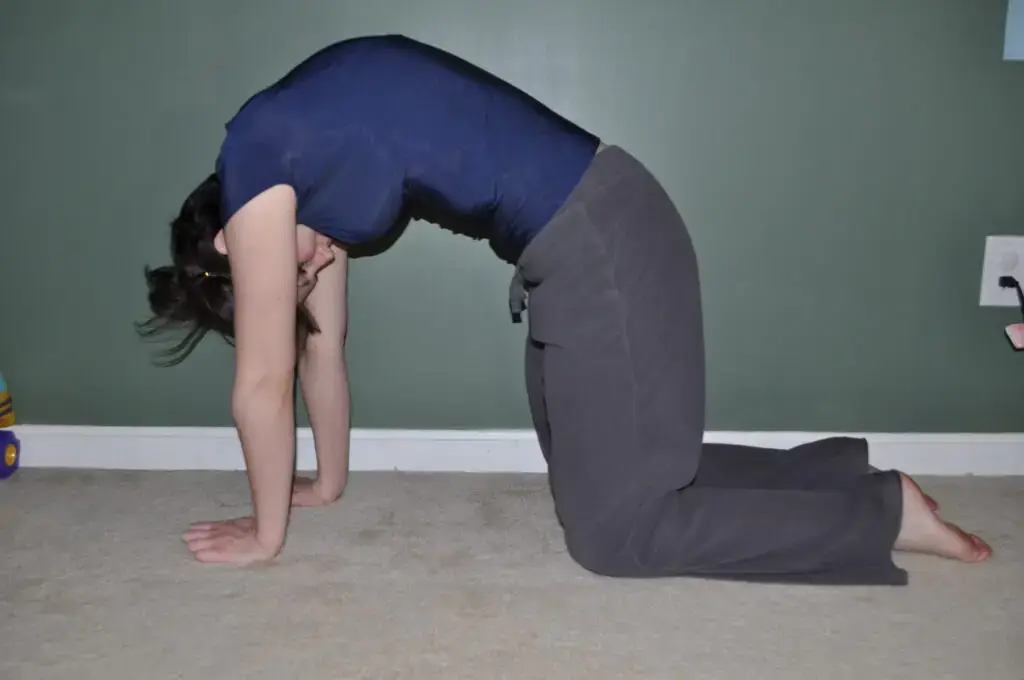 Cat stretch