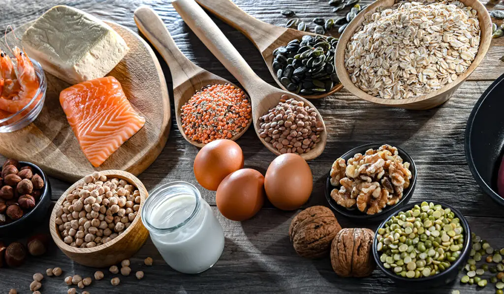 Some Foods with Protein