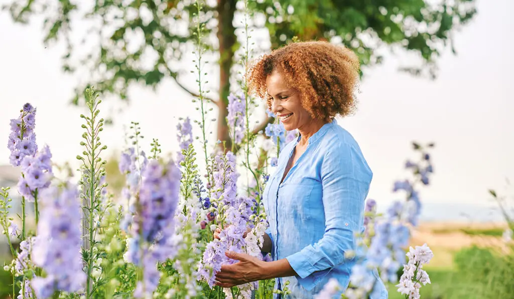 Woman in lavender garden